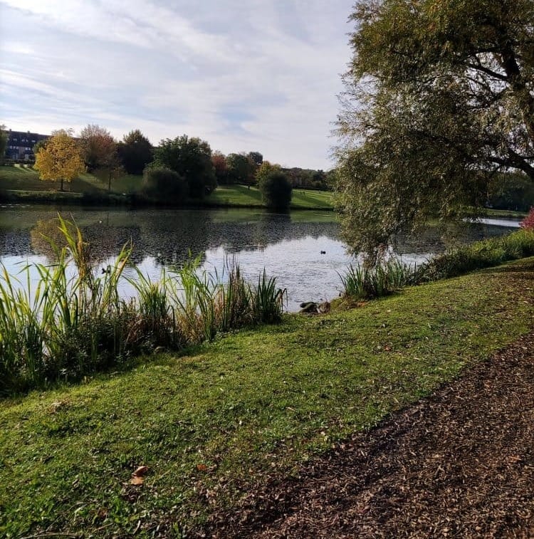 Lac - Lake - Louvain-la-Neuve - balade - jogging 